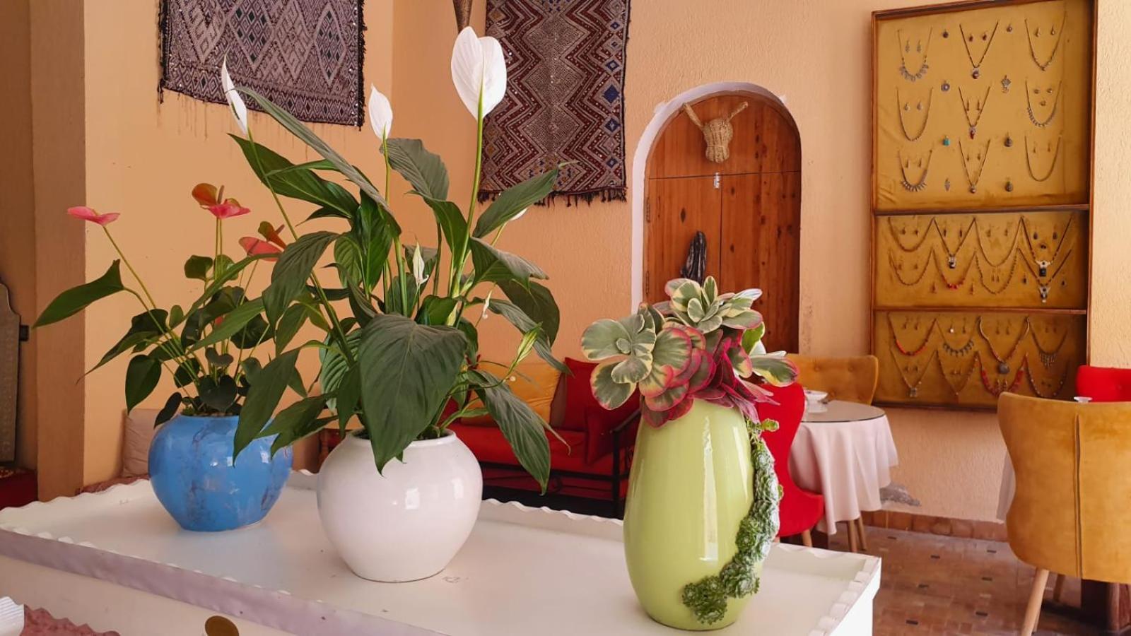 Riad Golf Stinia 2 Meknes Ngoại thất bức ảnh